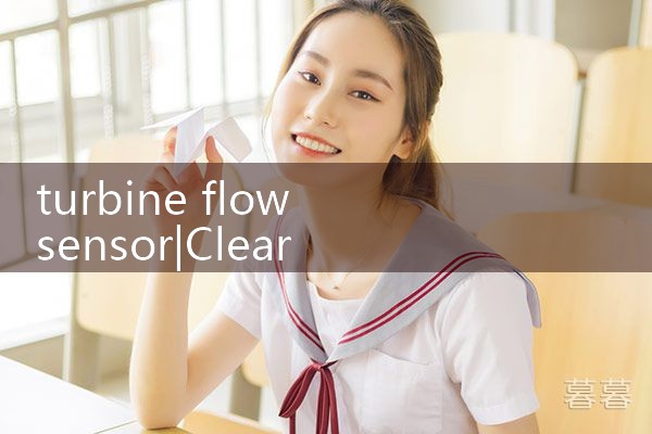 turbine flow sensor|mass flow meter