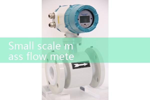Small mass flow meter manufacturer supply