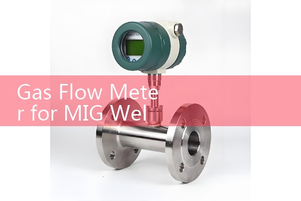 Flow meter standard