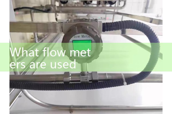 Steam mass flowmeter