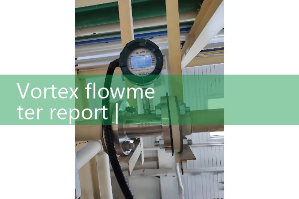 Vortex flowmeter report