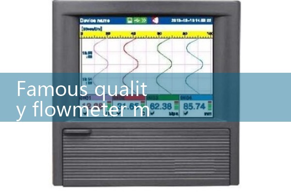 Renowned quality flowmeter manufacturer