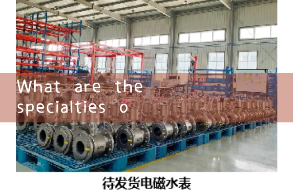 Sichuan Quality Flow Meter Sales Manufacturer