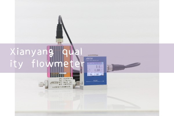 Xianyang Quality Flow Meter Manufacturer
