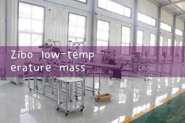 Zibo Low Temperature Mass Flow Meter Manufacturer