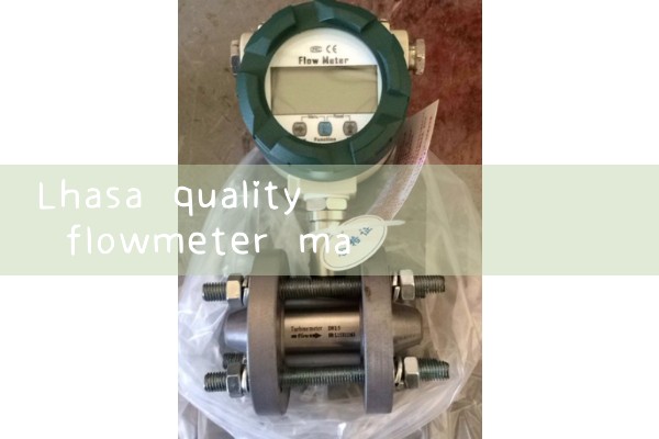 Lhasa quality flowmeter manufacturer
